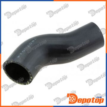 Gaine de suralimentation pour CITROEN | GPP-CT-014, 0382LY